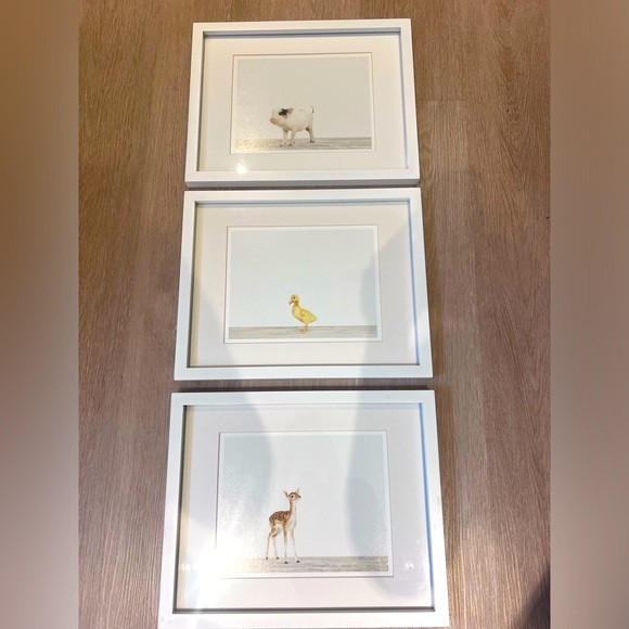 Animal Print Shop matted/framed prints - each 12x15” - Picture 1 of 1
